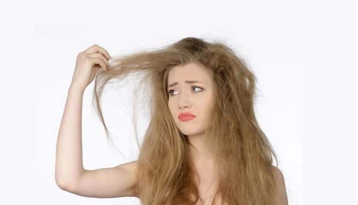 6 cách chữa đuôi tóc khô xơ đơn giản tại nhà  Be Nature Cosmetic