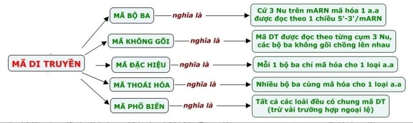 Tính đặc hiệu của mã di truyền được thể hiện như thế nào?