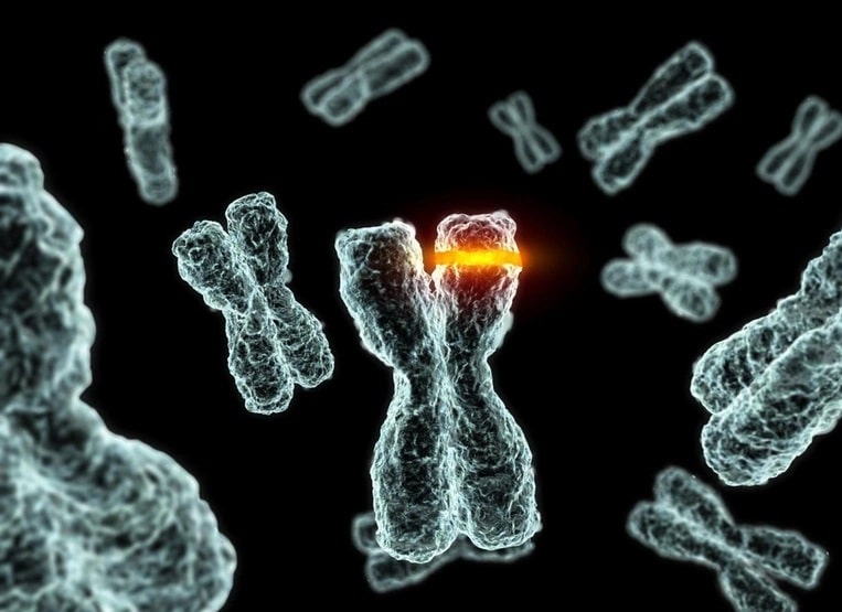 Sự biểu hiện kiểu hình của đột biến gen trong đời cá thể xảy ra như thế nào?